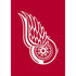 Detroit Red Wings 1111 NHL Spirit