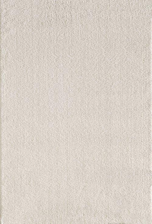 SILKY SHAG 5900 IVORY